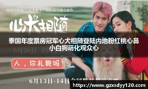 泰国年度票房冠军心犬相随登陆内地粉红桃心鼻小白狗萌化观众心