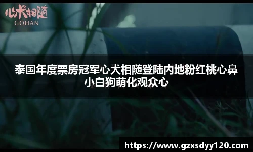 壹号大舞台泰国年度票房冠军心犬相随登陆内地粉红桃心鼻小白狗萌化观众心