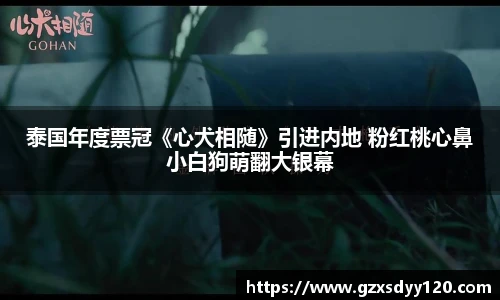 壹号大舞台泰国年度票冠《心犬相随》引进内地 粉红桃心鼻小白狗萌翻大银幕